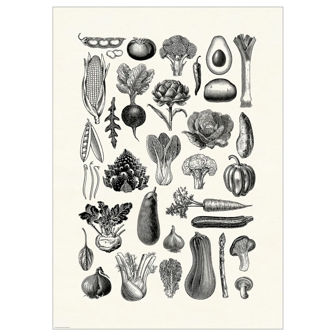 BILD Baird pictures, various vegetables, 50x70 centimeters
