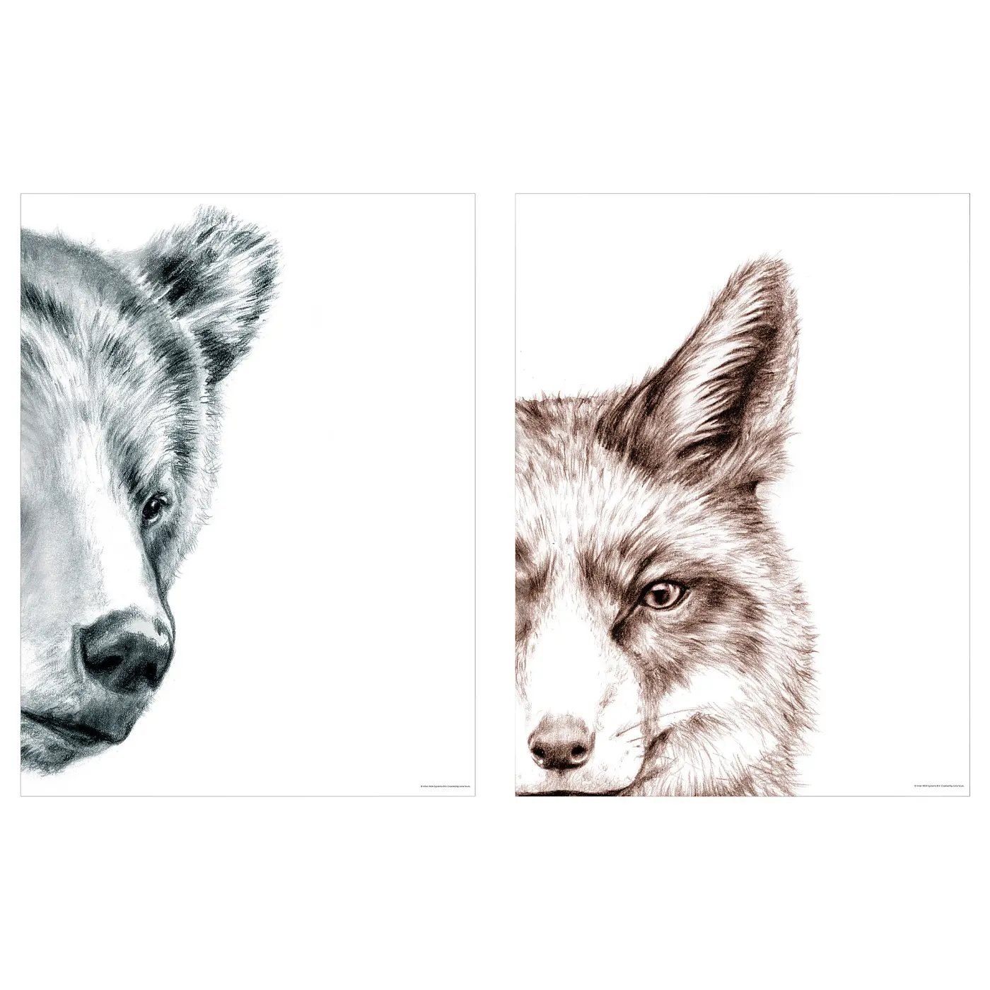 BILD Baird Picture, Bear and Fox, 30x40 cm