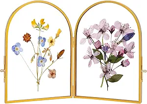 Pressed flower frame