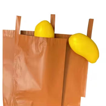 Double-Layer Inside White and Black Waterproof Paper Bags Free Customer Logo and Size Free Sample Mango Bag