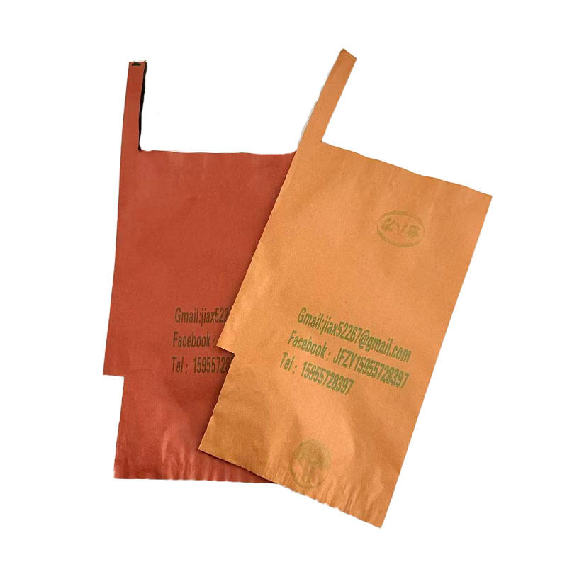 Custom Printed Eco-Friendly Fruit Grow Bags Breathable Nonwoven Fabric Protective Wrapping for Guava Mango-Customizable Size