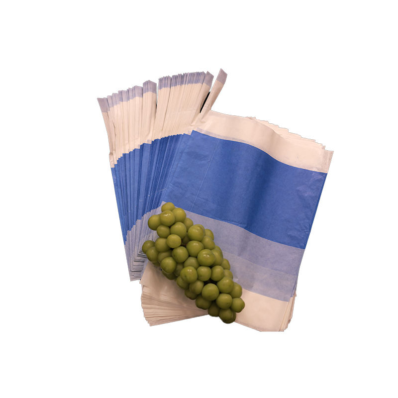 ChangLing Custom Anhui Agriculture Use Eco-Friendly Wax Coated Paper Single Layer Custom Embossed Waterproof Handle Food Bag