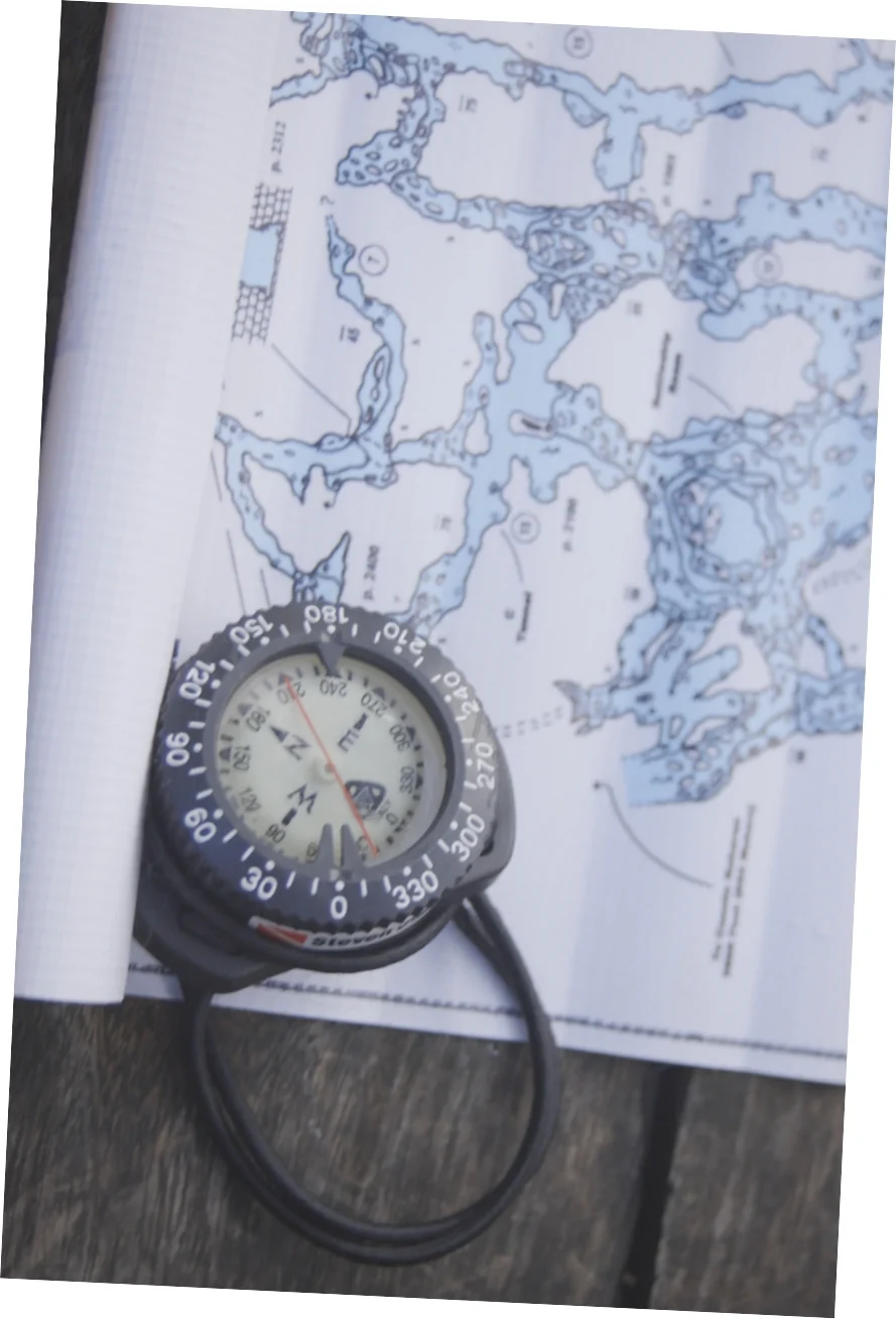 Akuana Pilot2 Compass