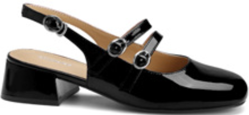 Ladies’ Shoes LS-01