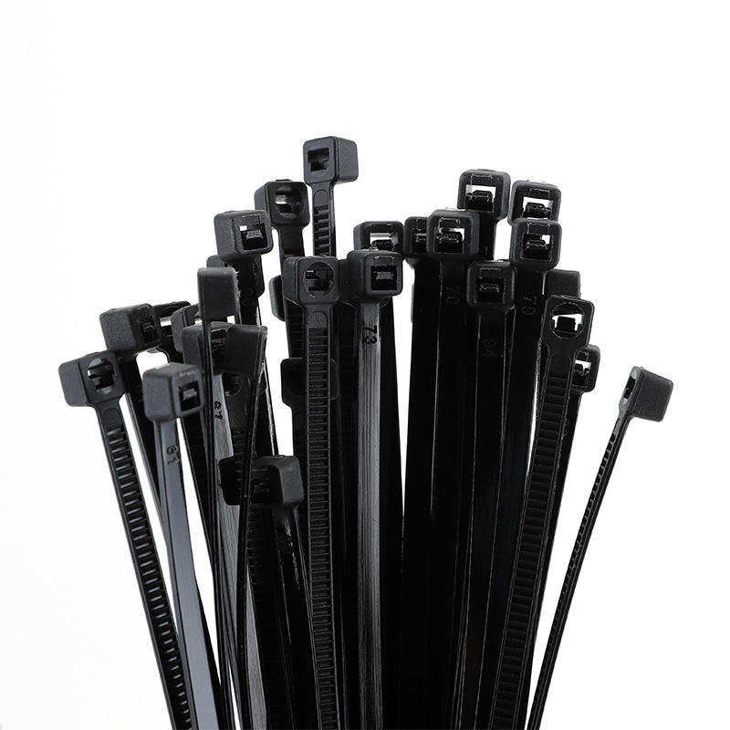 Self-Locking Label Nylon Cable Tie Factory-Direct 100-Pack Black White Assorted Colors International Trade