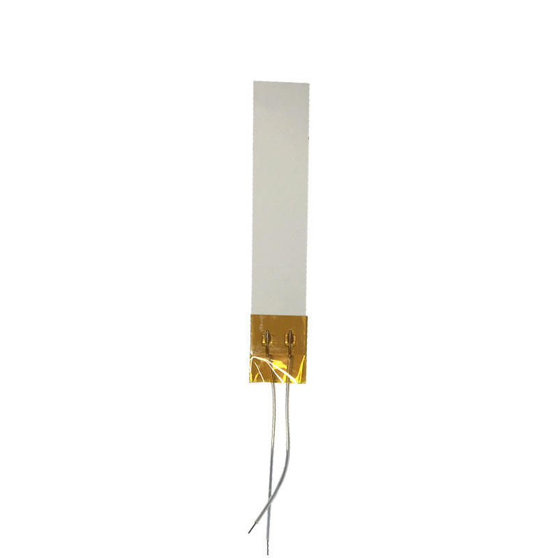 MCH Ceramic Heating Chip 220V Custom Electric Heating Plate for Beauty Instrument Heating Parts High Temperature Resistant