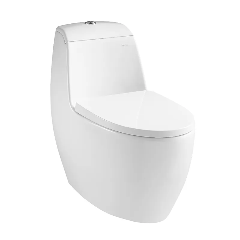 Dual-Flush Elongated One-Piece Rimless Toilet 3.5/5L