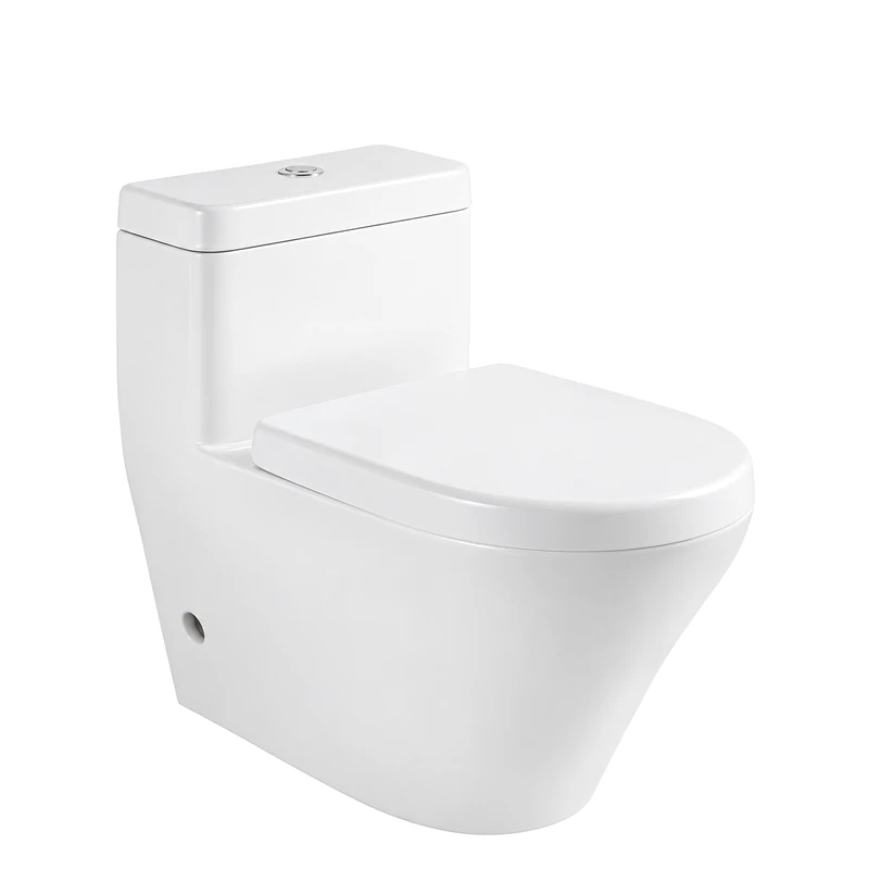 One-Piece Toilet T2166 S-trap Dual Flush Siphonic Water Saving 705X390X720mm