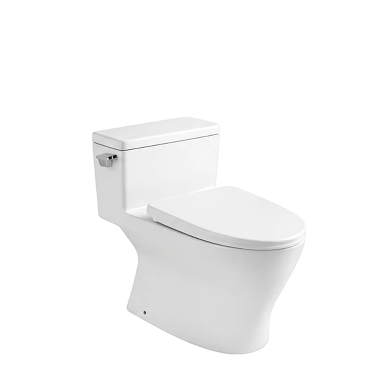 One-Piece Elongated Toilet T2188 S-Trap Single Flush Siphonic Water Saving 720X420X655mm