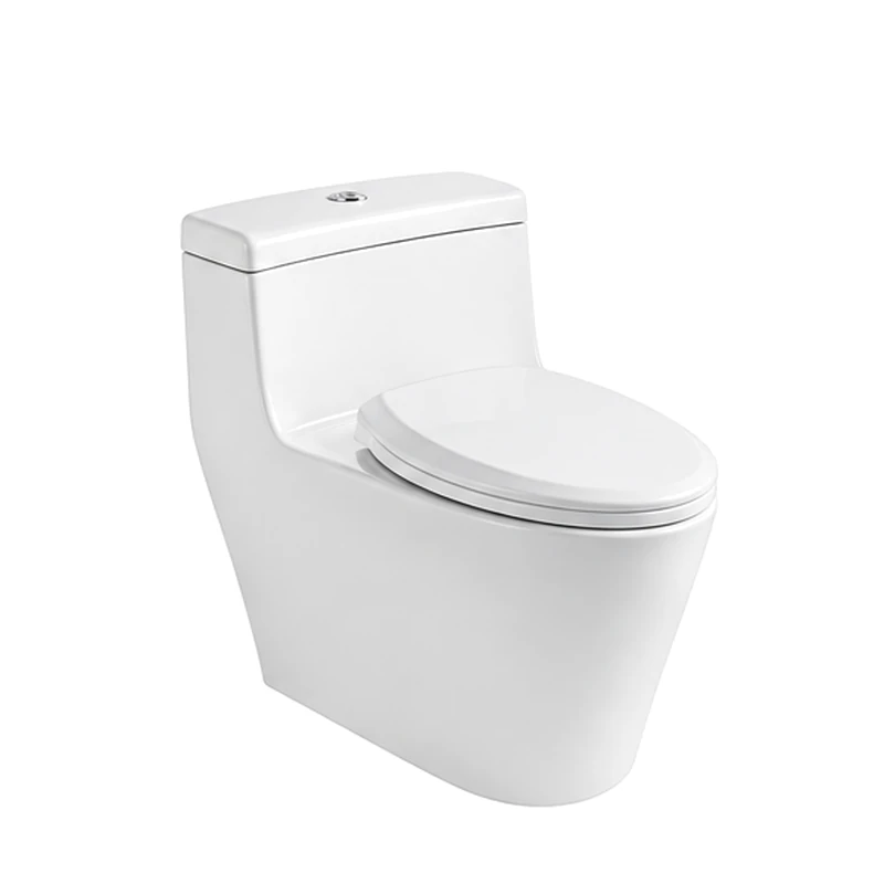 One-Piece Toilet T2636 S-trap Dual Flush Siphonic Water Saving 740X490X650mm