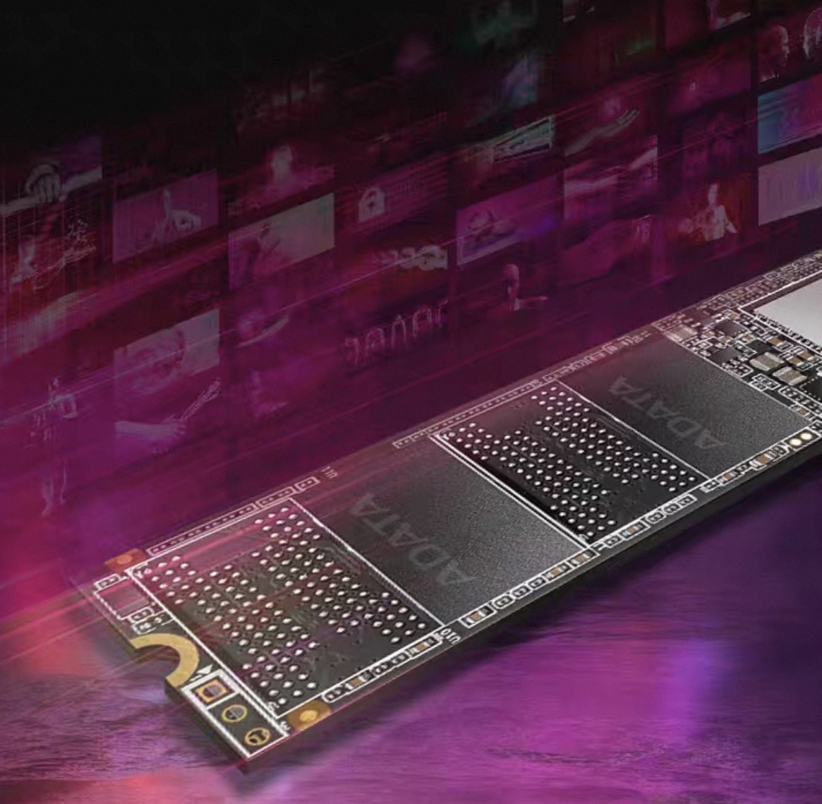 Pterosaur S60P-BM.2 New