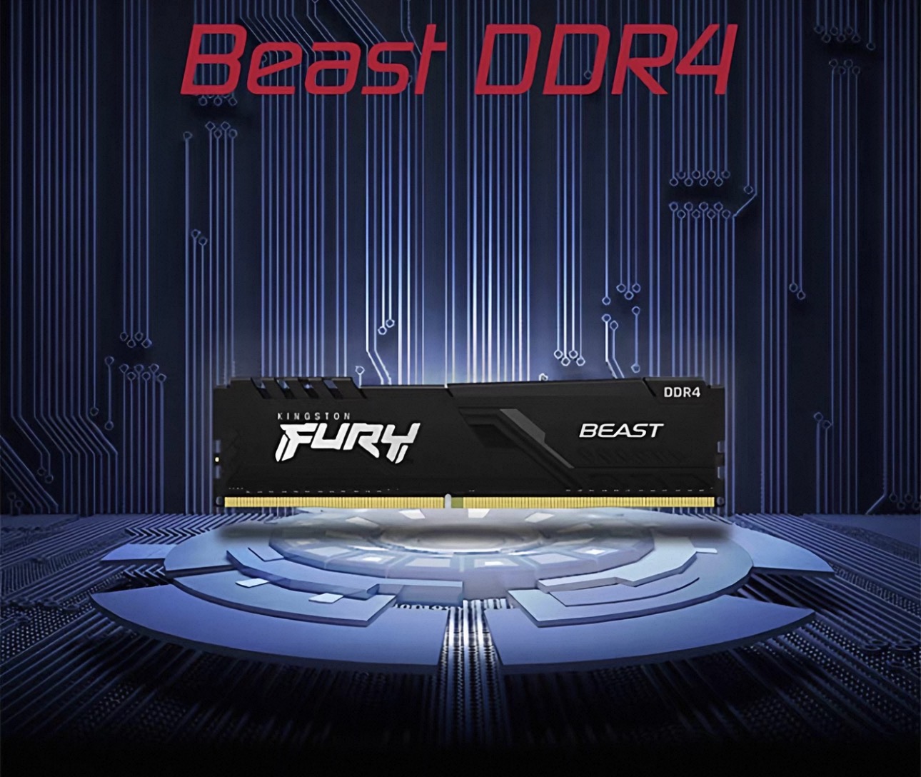 Kingston Beast Vest Strips DD4