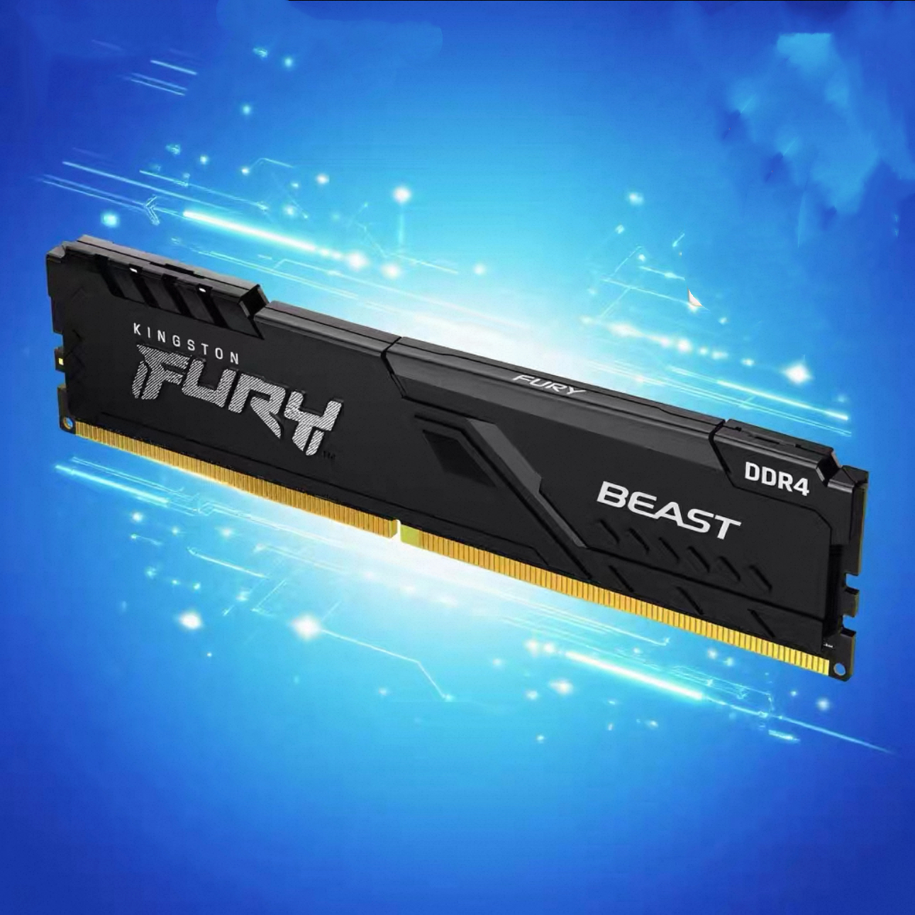 Kingston Beast Vest Strips DD4