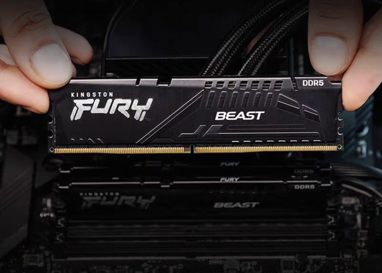 DD5 Kingston beast vest strip 