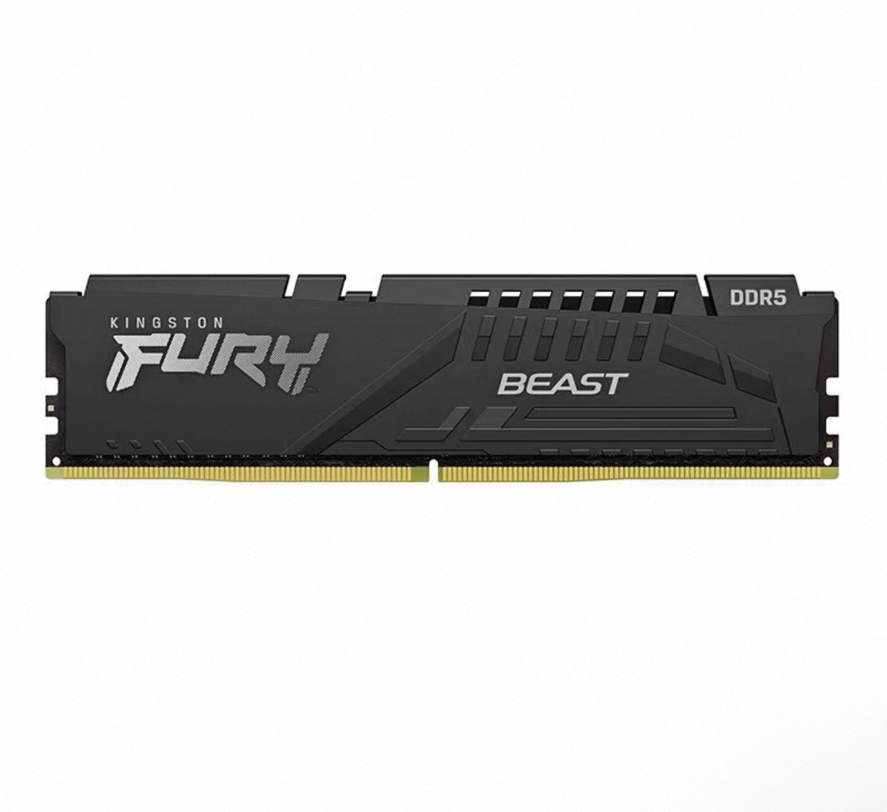 DD5 Kingston beast vest strip 