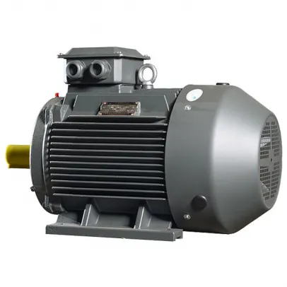 Low Voltage Motors