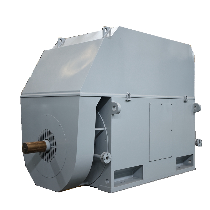 Medium Voltage Motors