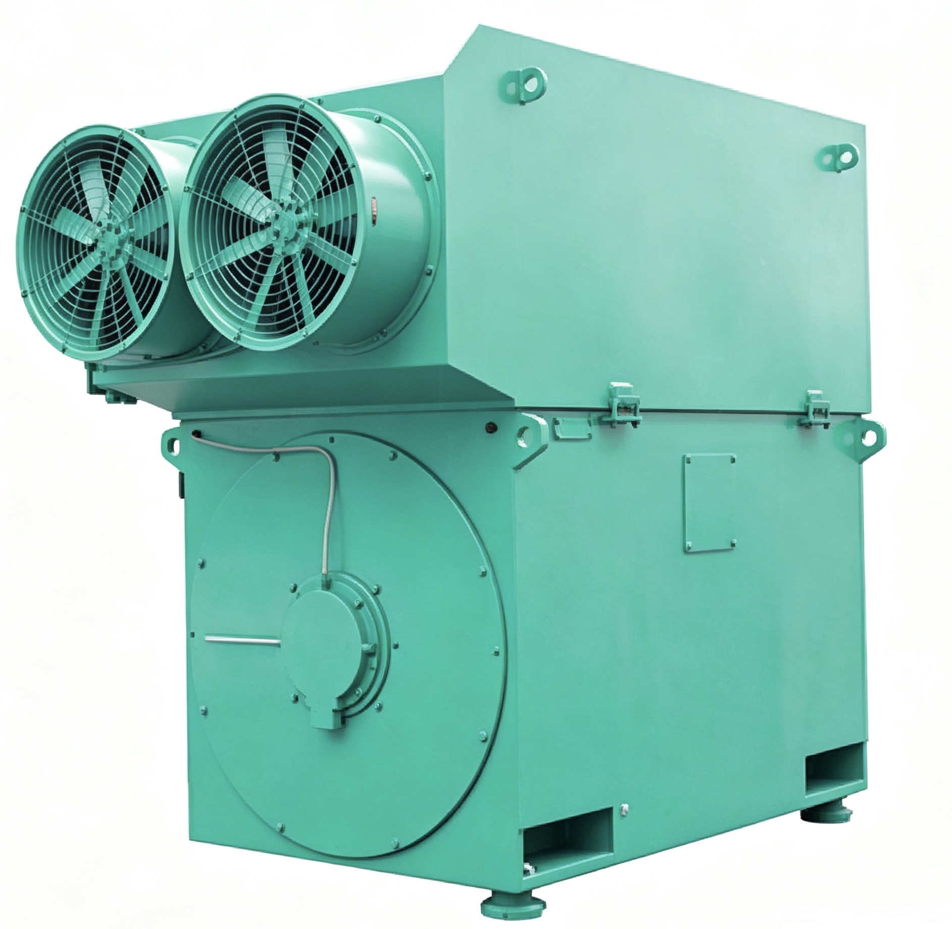 Medium Voltage Motors