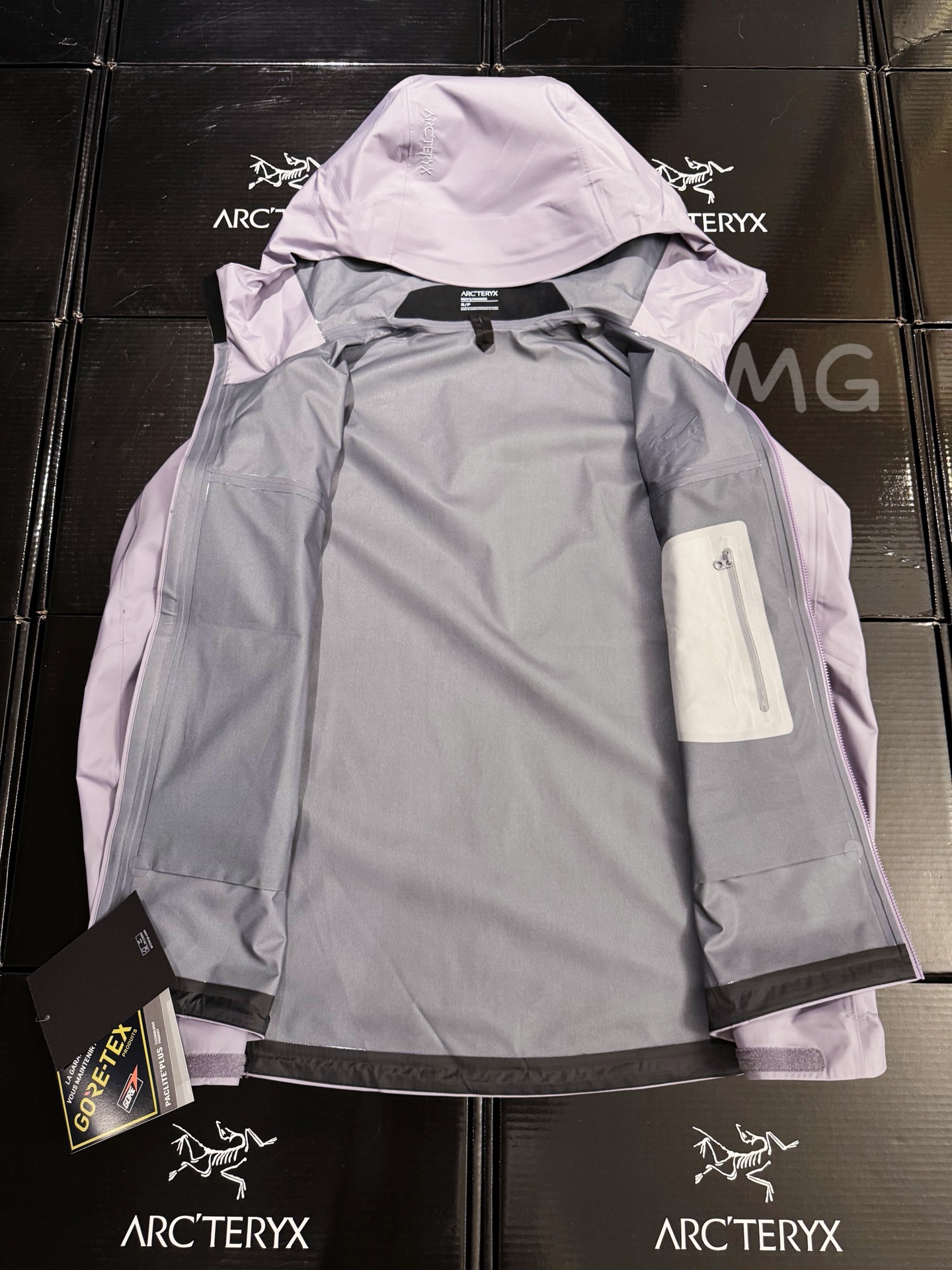 Arcteryx | Beta Light Weight |  GORE-TEX Jacket Thousand Ears Purple