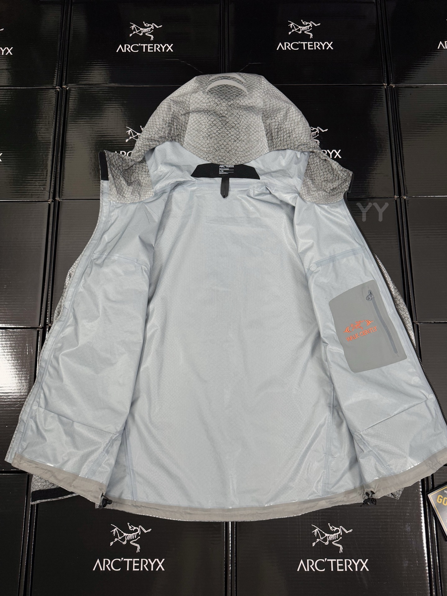 Arcteryx | Walk Gently  |  Beta SL  Jacket