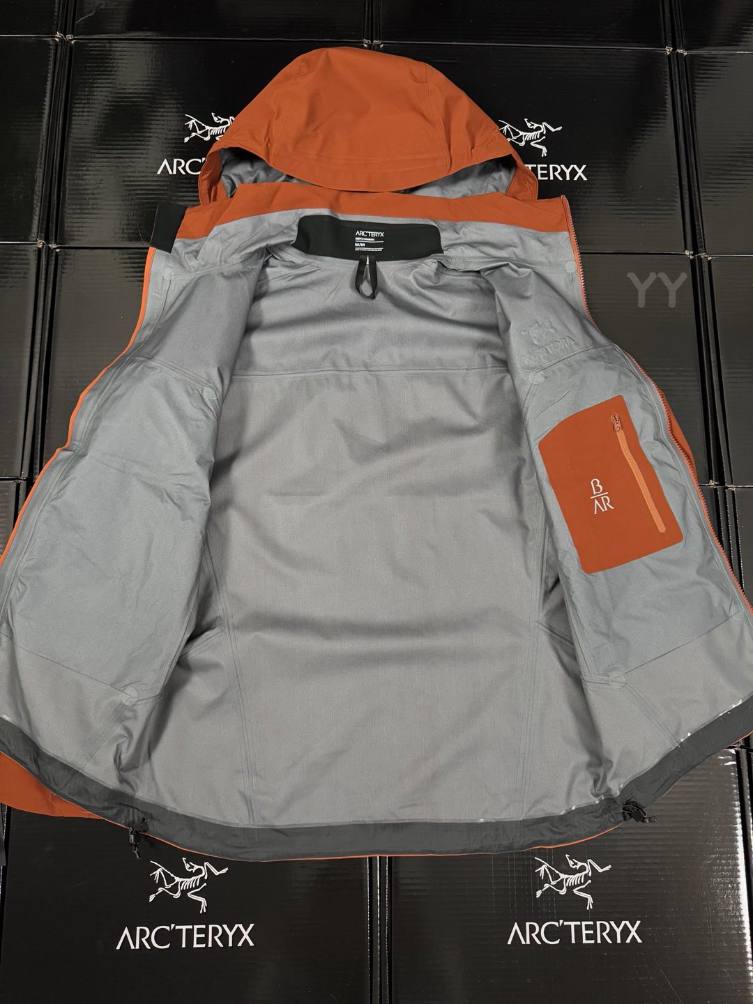 Arcteryx | Beta AR | GORE-TEX Pro Jacket  Fika