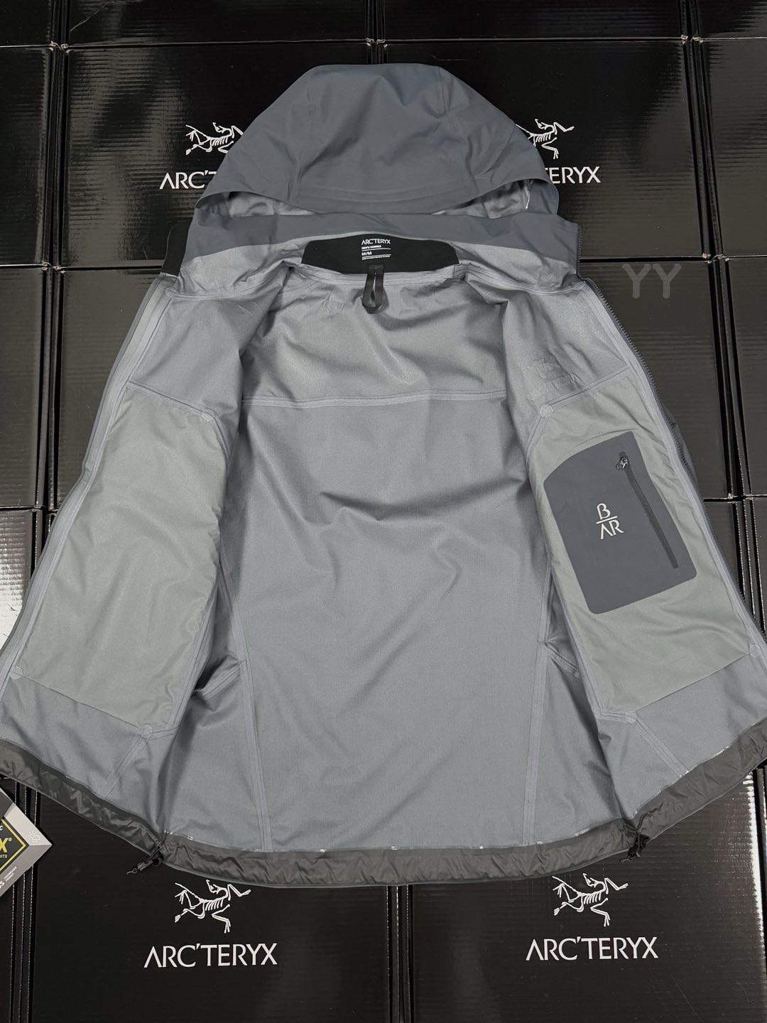 Arcteryx | Beta AR | GORE-TEX Pro Jacket  Glitch