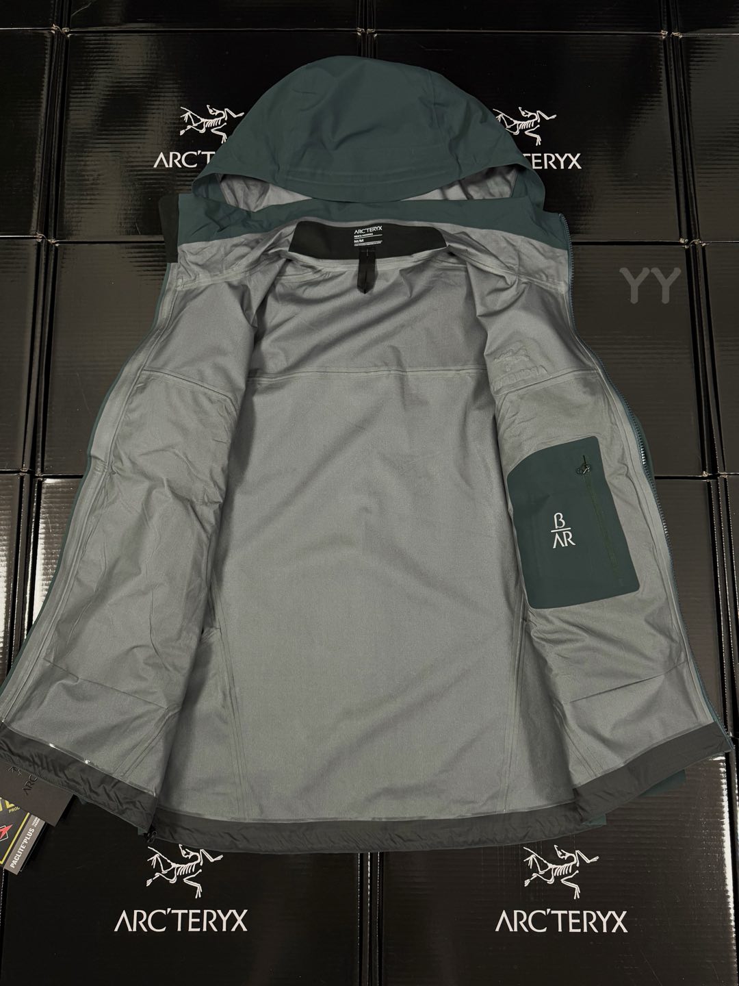 Arcteryx | Beta AR | GORE-TEX Pro Jacket  Paradox