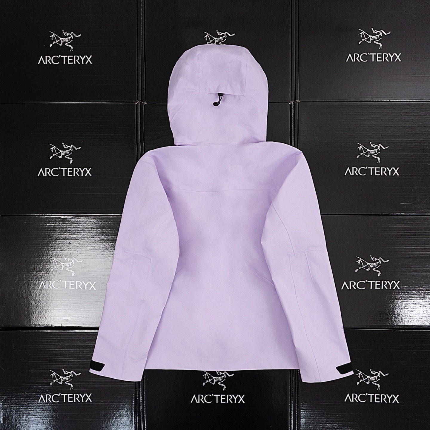 Arcteryx | Sidewinder GTX 3L hard shell Interchange Jacket purple