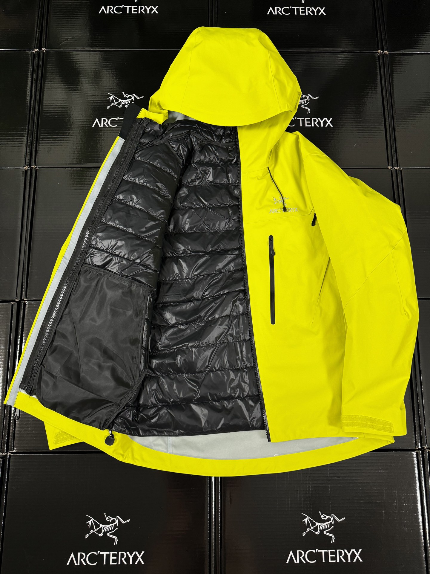 Arcteryx | Alpha Sv7 3-in-1 |  Cotton Jacket Lampyre