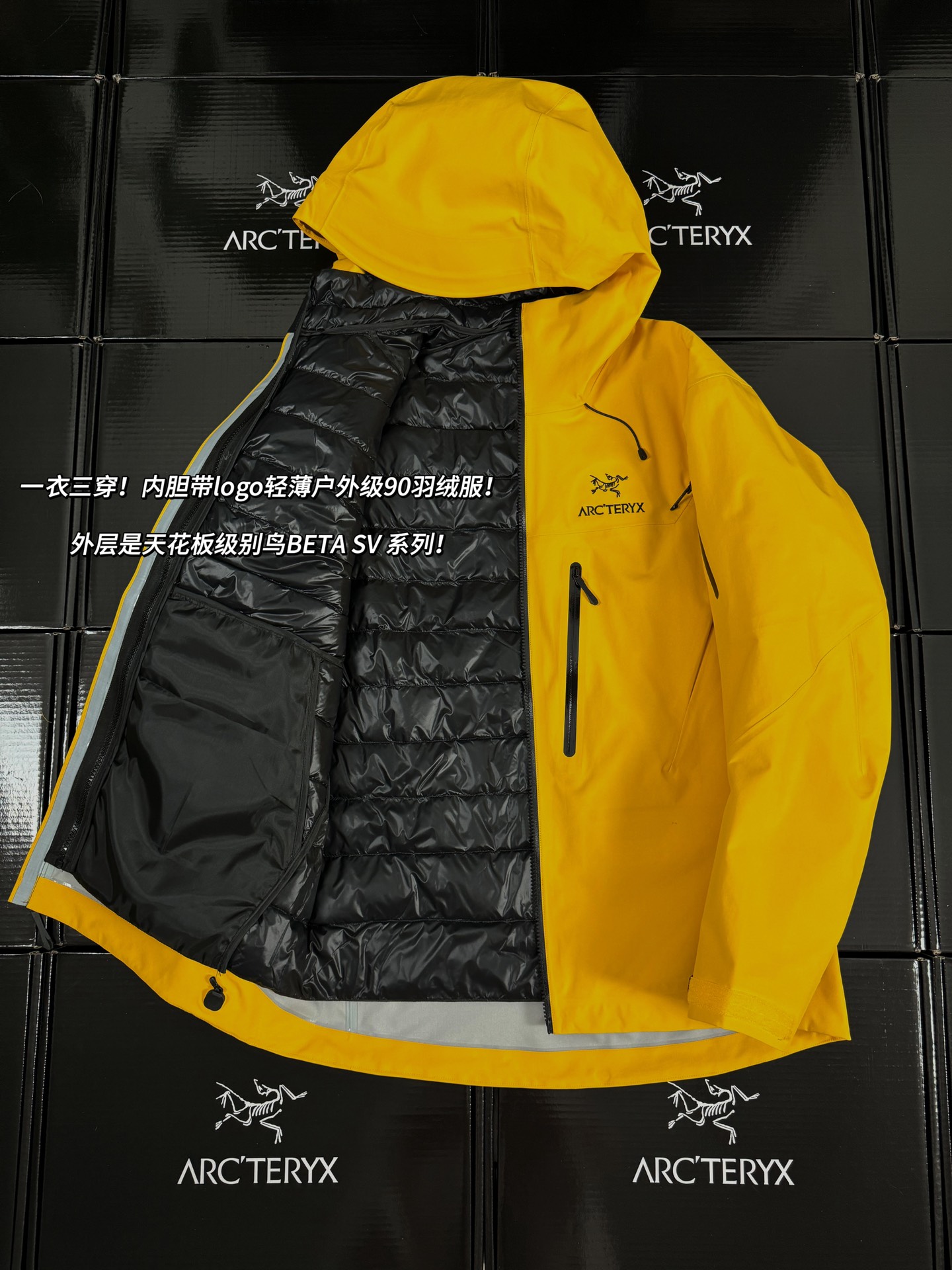 Arcteryx | Alpha Sv7 3-in-1 |  Cotton Jacket Edziza