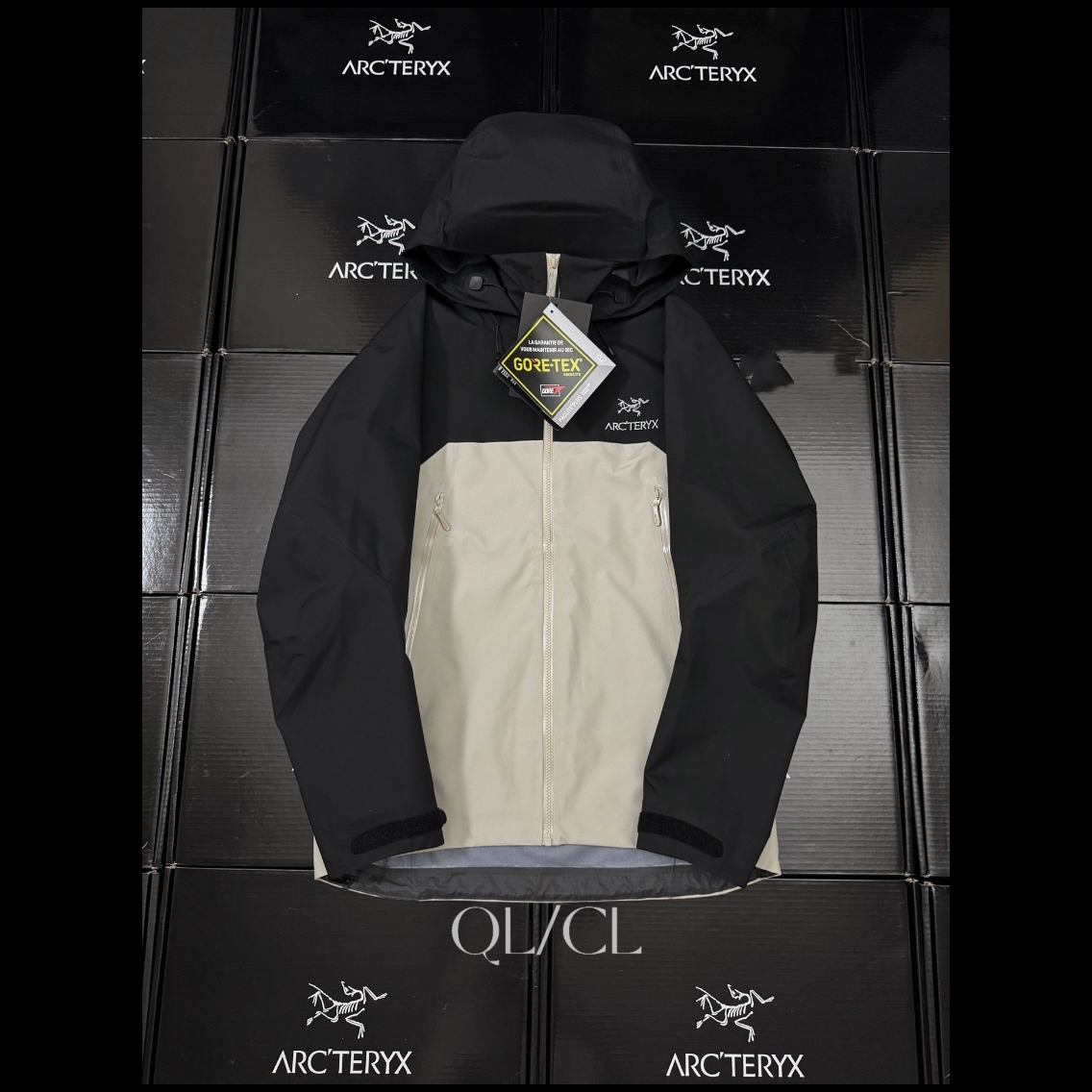 Arcteryx | Beta AR | GORE-TEX Pro Jacket Black Rune