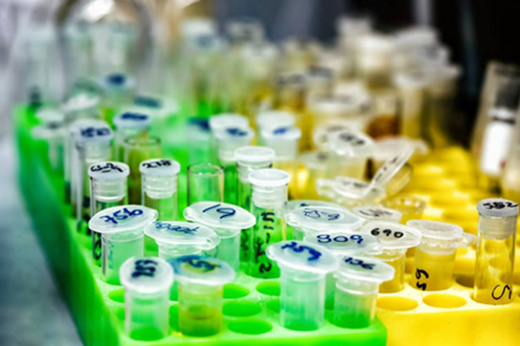 Storage Precautions for Dimethyl Sulfoxide (DMSO)