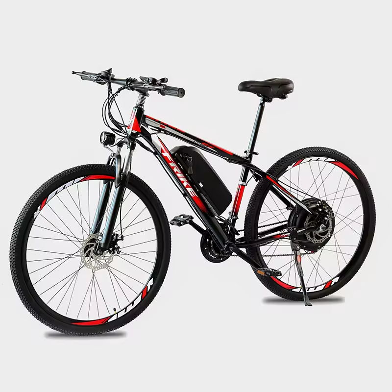 2024 High Speed 1000W Electric Bike Electric Bicycle Ebike
