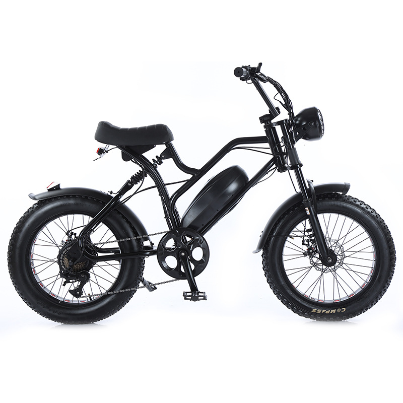 New Tech 4000W 52V 20ah Fast Electric Dirt Bike Suspension Dual Motor E-Bicycle Motorcycle