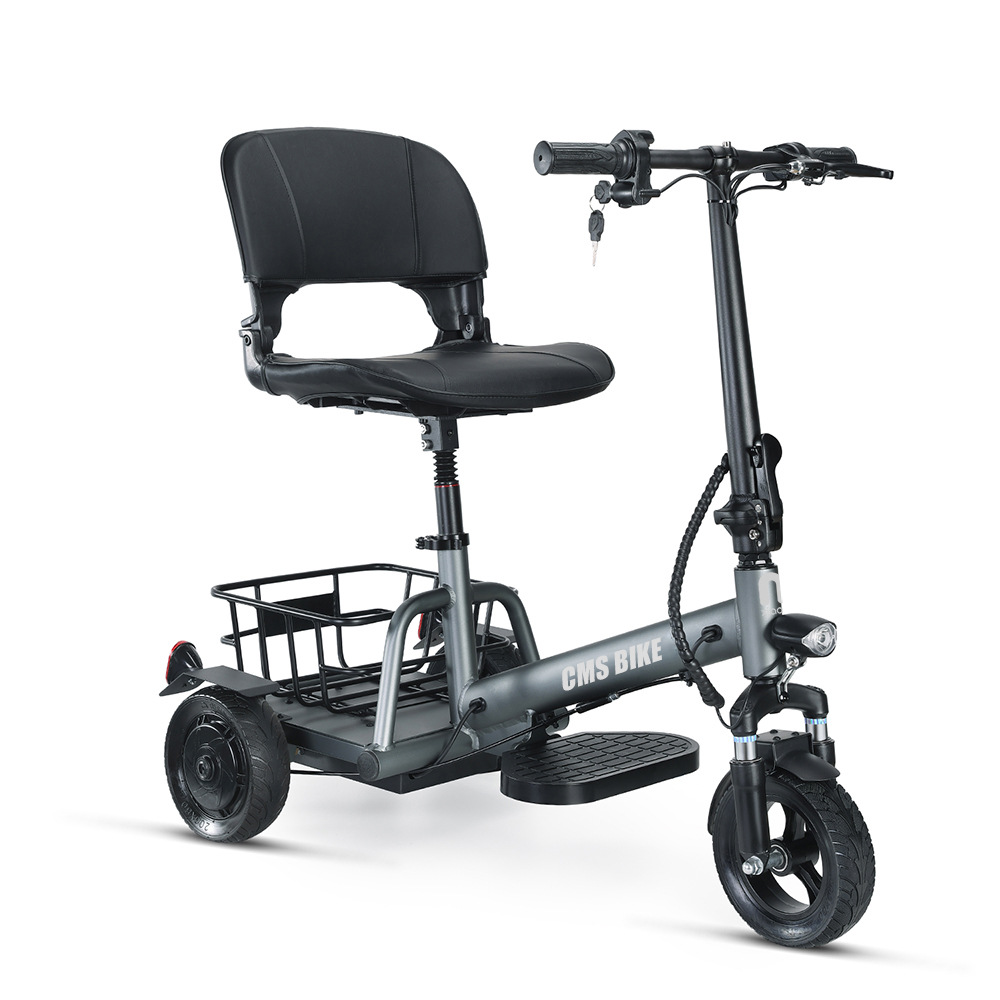 New Electric Trike 3 Wheel Removable Battery Pedal Assist Fat Tire Electric Cargo Bike