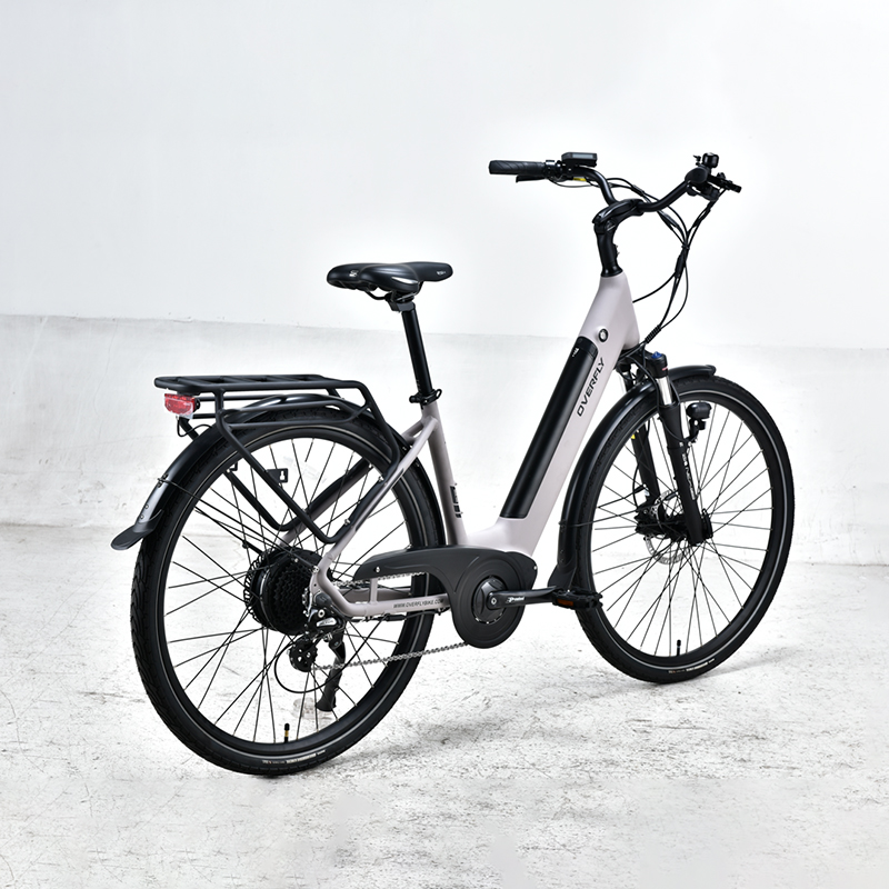 500W 48V 12A e-bike hydraulic disc brake electric bike electric bicycle