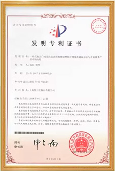 Invention Patent Certificate