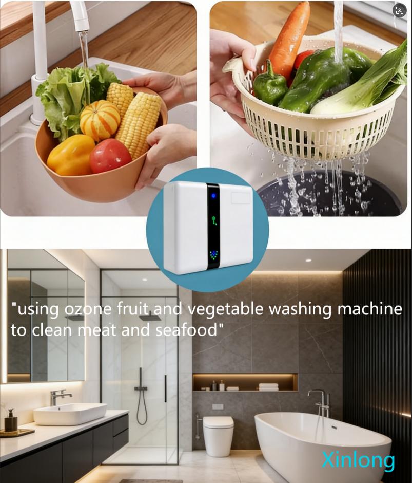 Best Ozone Fruit & Vegetable Washing Machine for Chemical-Free Food Safety
