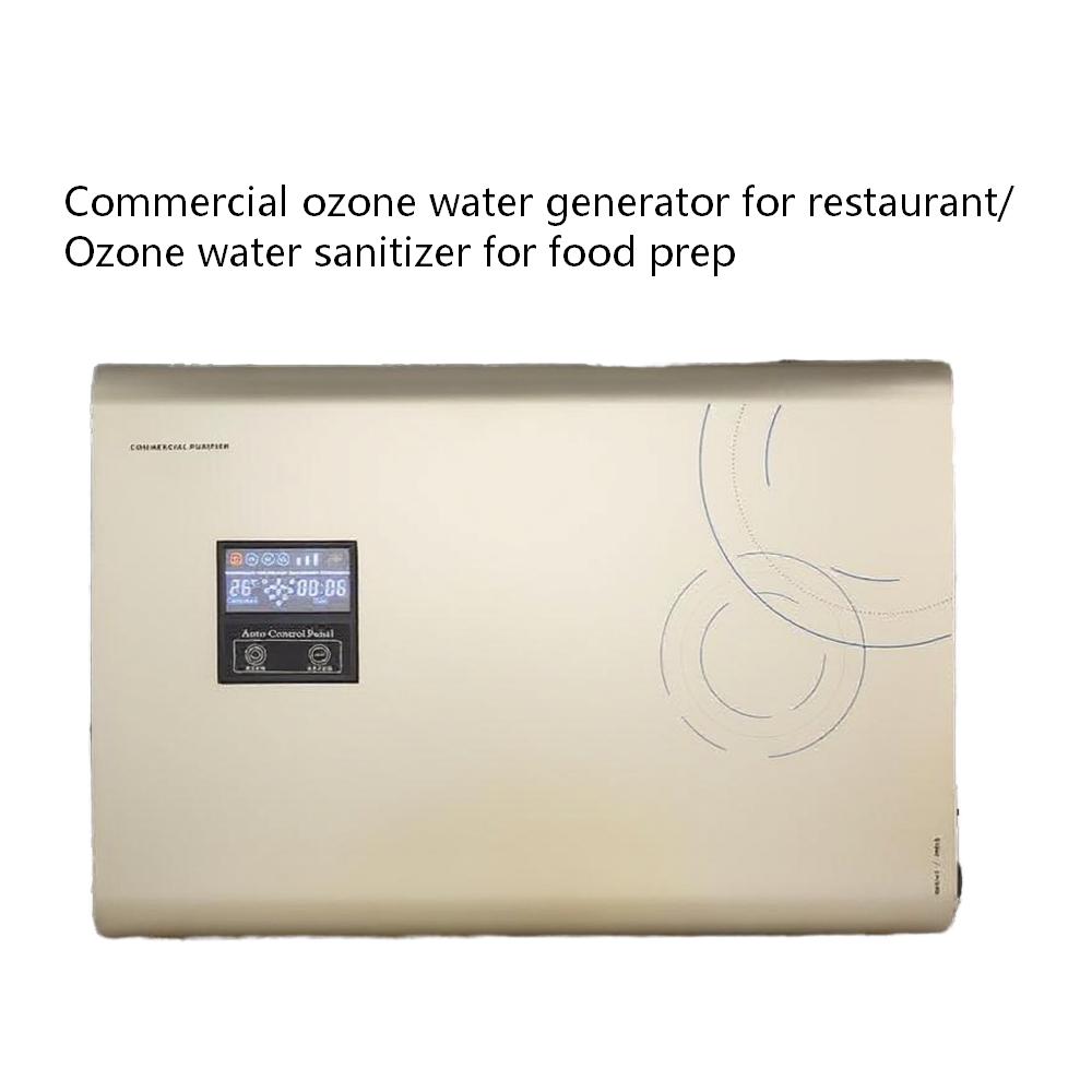Why Smart Commercial Kitchens Are Switching to Ozone Water Machines (And ditching Chemicals)