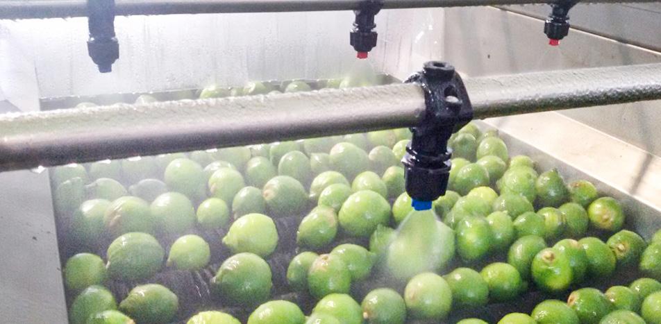 How is aqueous ozone applied in commercial food processing and agricultural packing facilities?