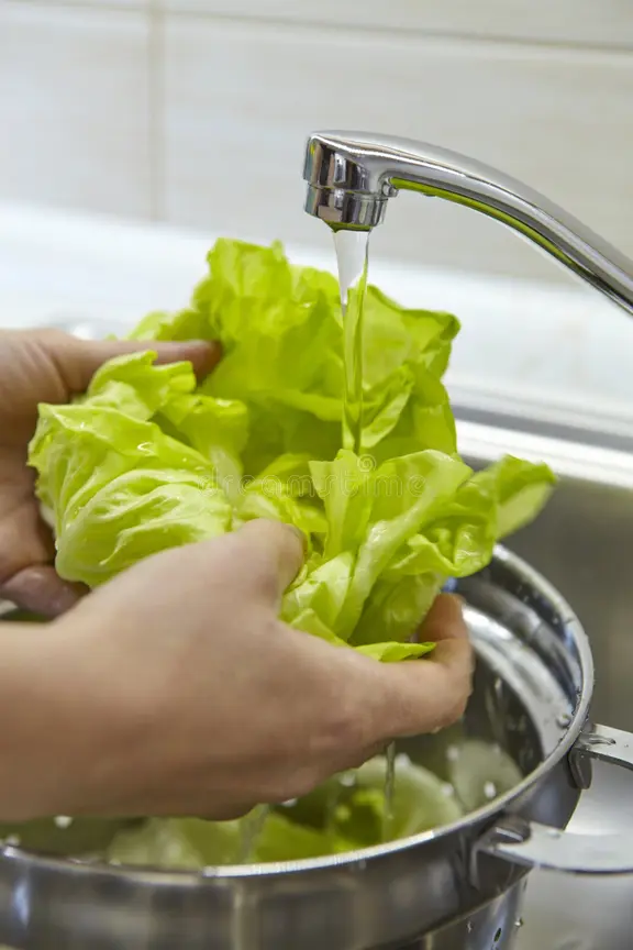 Why Washing Veggies with Ozone Water is the Ultimate Kitchen Hack for Fresh, Safe Salad