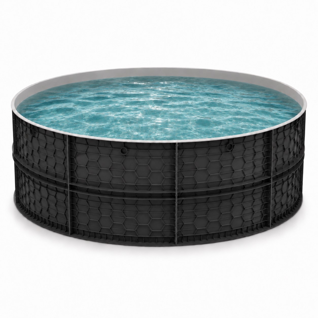How Ozone Generators Transform Water Quality in Recirculating Aquaculture Systems (RAS)