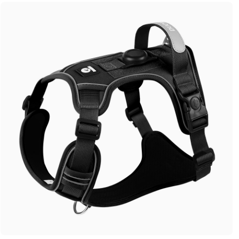 Harness with airtag