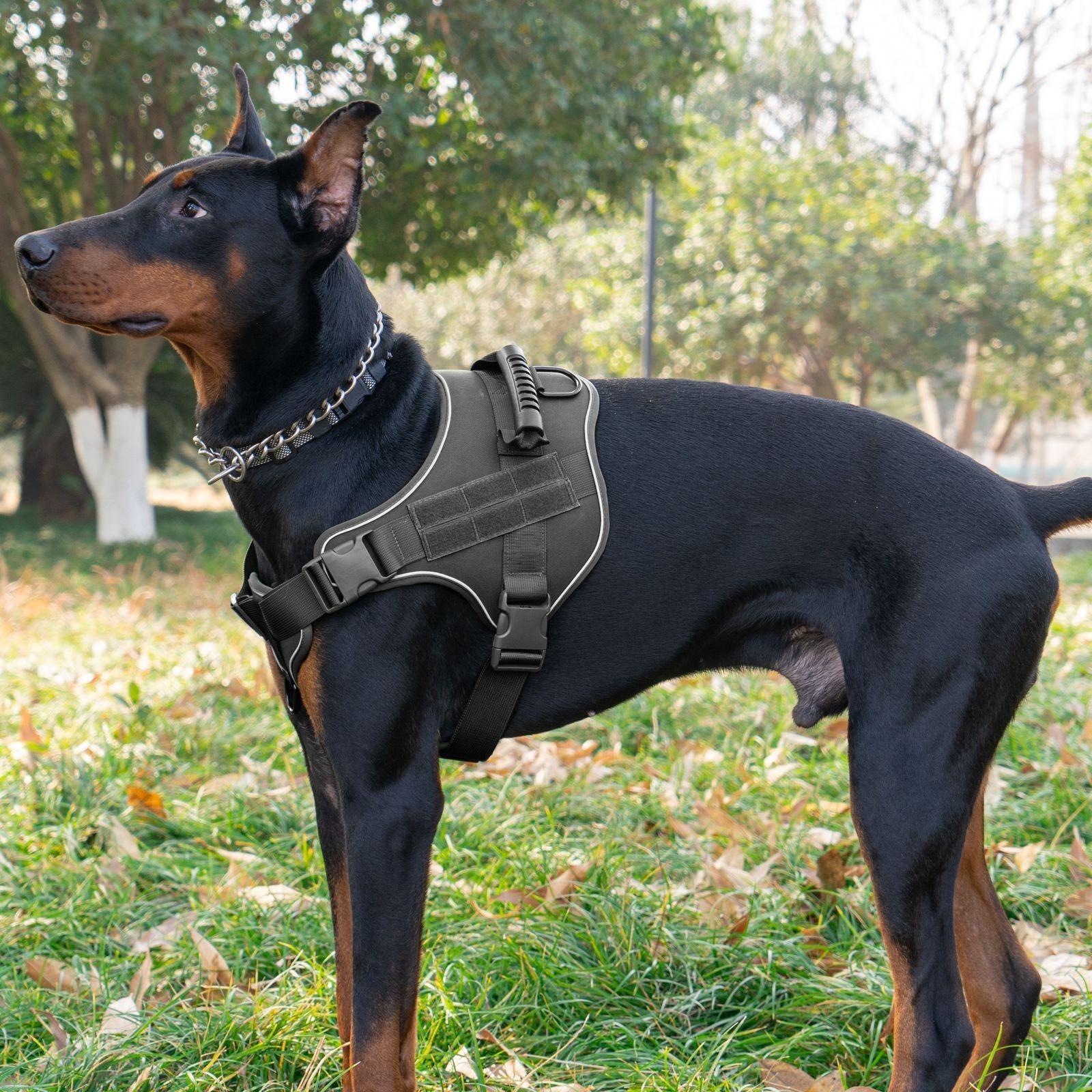 3-Piece pet leash set:Tactical Dog Collar , Harness and Leash 