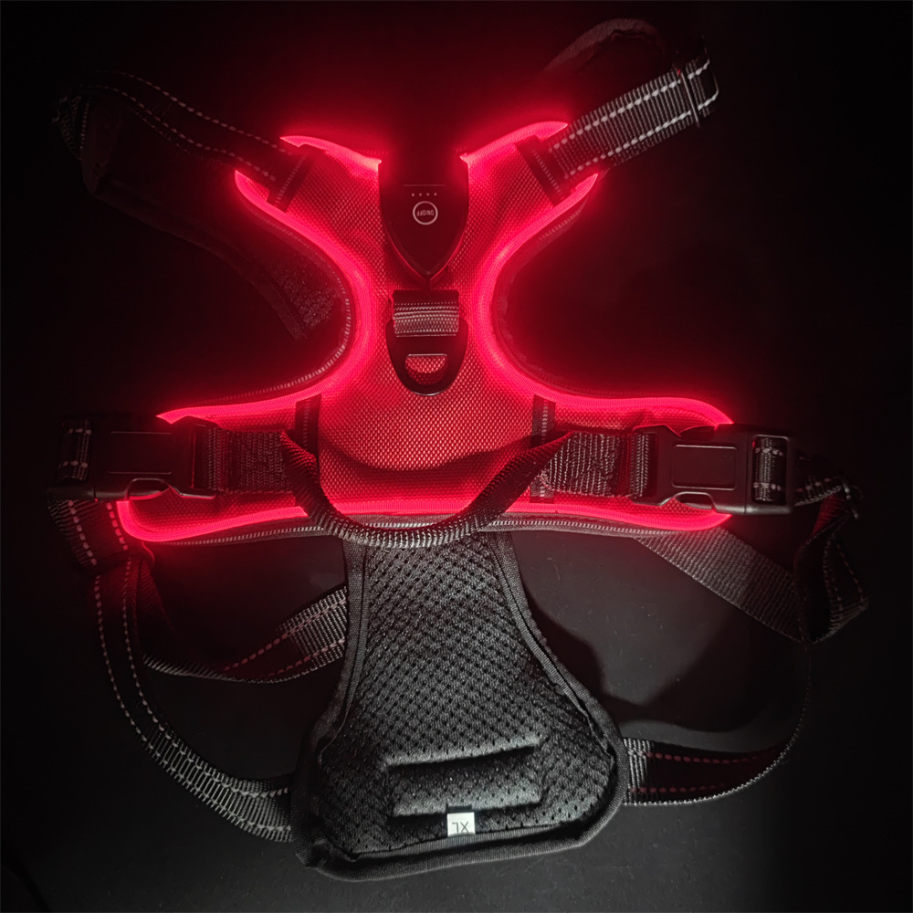 How to Choose the Right Reflective Leash for Night Walks: A Complete Safety Guide