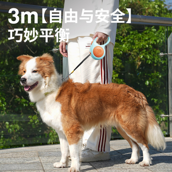 Rectractable Dog Leashes 3M