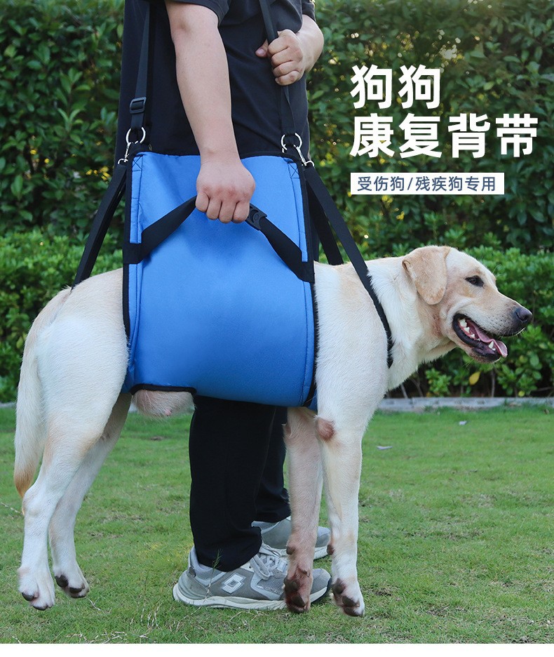  Adjustable Mobility Support Harness 