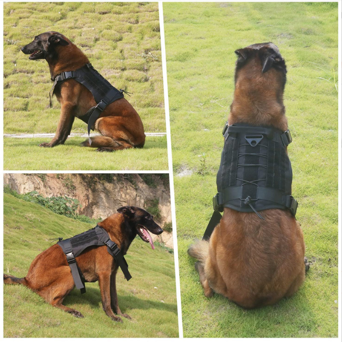 Professional Tactical Vest and Leash 