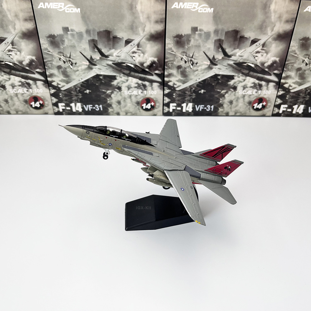 1/100 Scale American F-14 Tomcat Fighter Aircraft F-14 Tomcat Squadron Simulated Alloy Aircraft Model Finished Display Piece