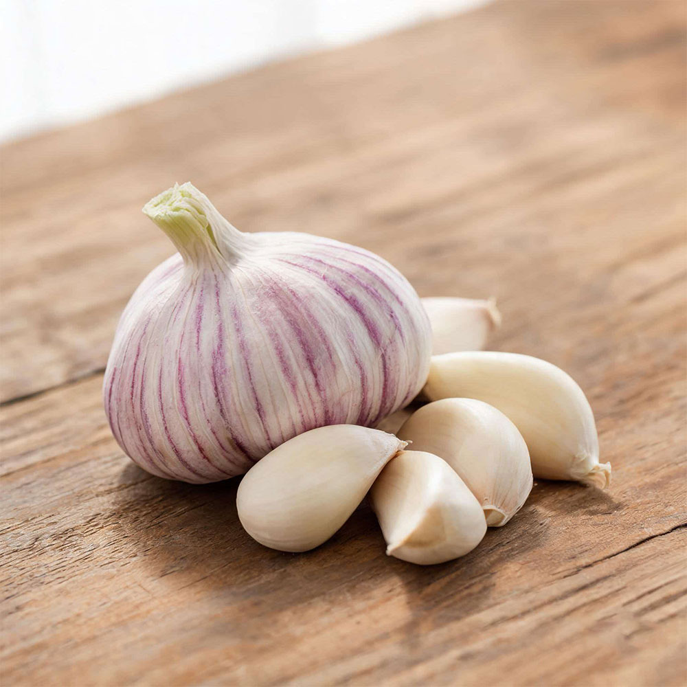 garlic